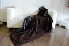 The blanket006